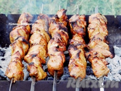 Kebab în adzhika - pregătirea pas cu pas, cu fotografii