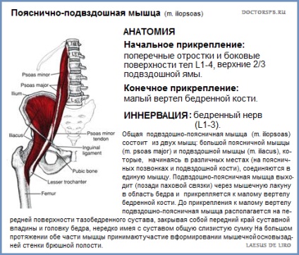 A szindróma iliopsoas (horpaszizom-Syndrom)