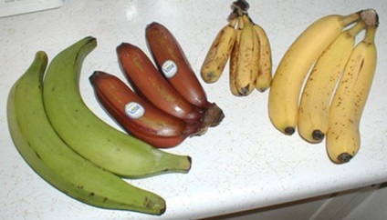 Hány kalória van egy banánban!