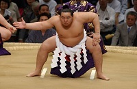 Cât costă un luptător sumo mediu, greutatea unui sumo începător