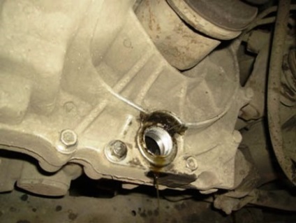 Scurgerea și schimbarea uleiului în MPA nissan almera classic - reparații auto, video și manuale