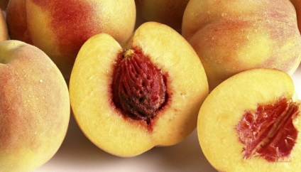 Soiuri de piersici și nectarine ce fel de plantă de piersici (