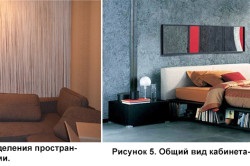 Dulap în dormitor într-un singur spațiu, alegerea mobilierului și materialelor, exemple de creație (foto)