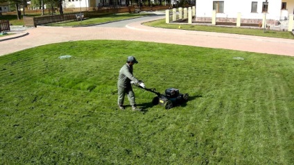 Módszerek a vágás a gyepen az ő dacha