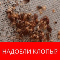 Carbophos from bedbugs - instrucțiuni de utilizare, recenzii, prețuri