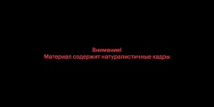 Asiguratorii au spus despre plățile efectuate victimelor din Sankt Petersburg