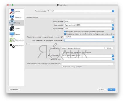 Stream (VC) vkontakte cu setarea computerului obs și browser-ul, apple de știri