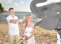 Fotografiile de nunta pe plaja - idei