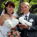 Esküvői galambok