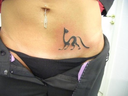 Tattoo macskák hasán