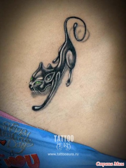 Tattoo macska hasán
