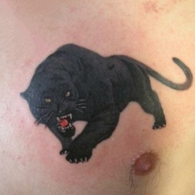 Tattoo Panther