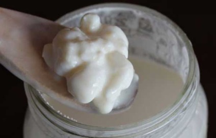 Tibetan ciuperca de ciuperci (ciuperca de kefir) cum să aibă grijă, beneficii și rău