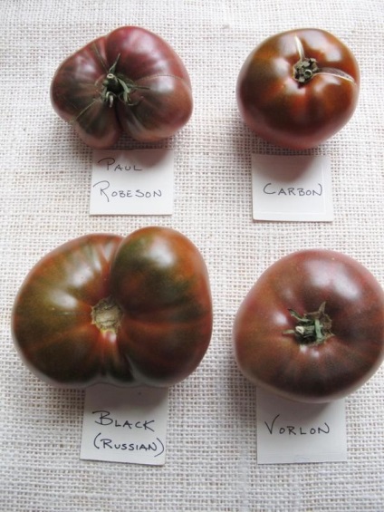 Tomate de soiuri de roșii negre și albe