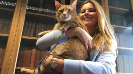 Pisica cu trei picioare a devenit o mascotă a bibliotecii Universității din Cambridge și îi ușurează pe studenți de stres -