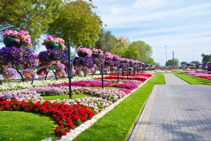 Designul unic al parcului de flori al ain paradis