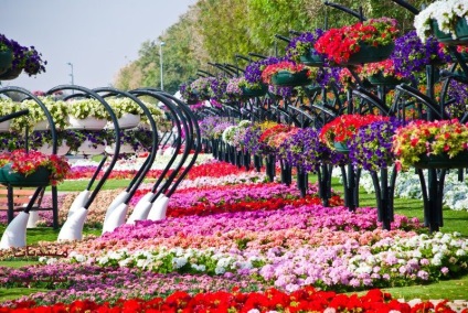 Designul unic al parcului de flori al ain paradis