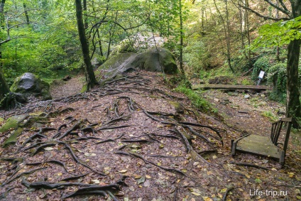 Unic Volkonsky Dolmen - fotografii și cum să ajungi acolo