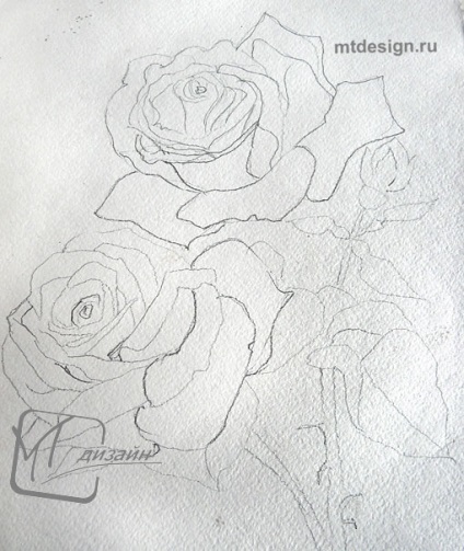 Lecții de pictura - cum să desenezi o schiță de trandafiri în creion