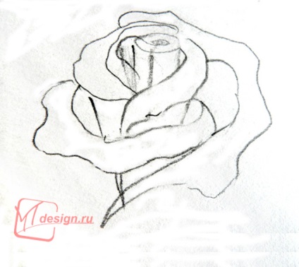 Lecții de pictura - cum să desenezi o schiță de trandafiri în creion