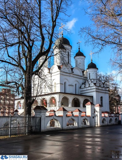 Golitsyn Manor Big Vyazemy