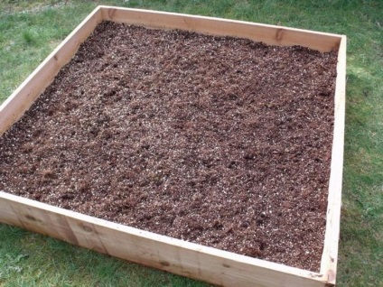 Vermiculita pentru plante - cum se aplică într-o fermă de dacha