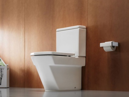 Alegem corect un vas de toaletă pe ce merită să acordăm atenție, designul interior