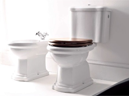 Alegem corect un vas de toaletă pe ce merită să acordăm atenție, designul interior