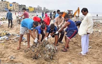 În India, oamenii au curățat plaja de 5 mii tone de deșeuri