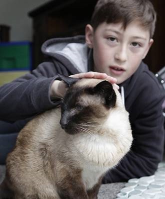 Új-Zélandon, a macska tíz évig élt két család