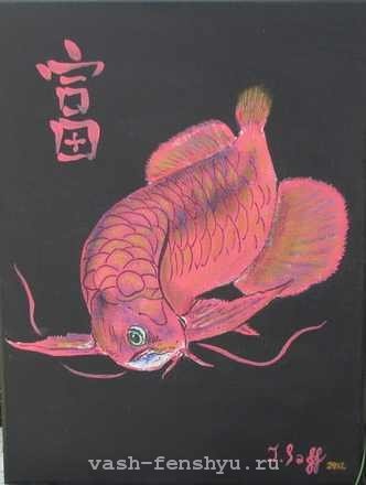 Aici este peștele visurilor mele - arano feng shui