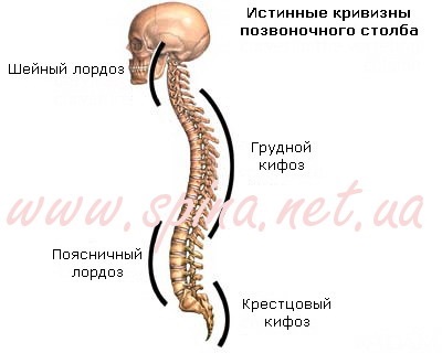 Cifoza juvenilă a tratamentului shoyerman în insuficiența ortopedică