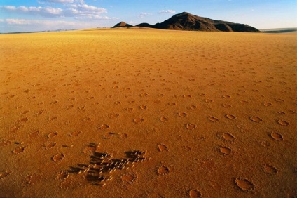 Rejtélyes körök a Namíb-sivatag