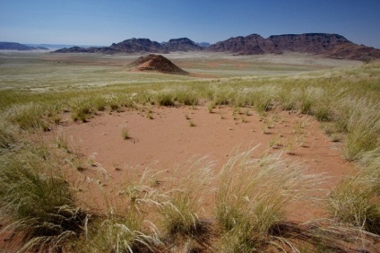Cercuri misterioase în deșertul Namibiei