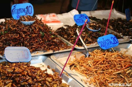 Insecte prajite din Thailanda - lăcuste, larve, gandaci, mâncare exotică, ghid pentru Phuket