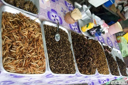 Insecte prajite din Thailanda - lăcuste, larve, gandaci, mâncare exotică, ghid pentru Phuket