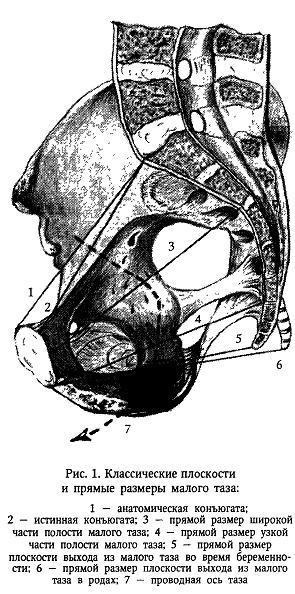 Pana de femeie din punct de vedere obstetric