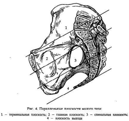 Pana de femeie din punct de vedere obstetric