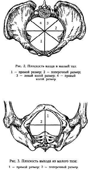 Pana de femeie din punct de vedere obstetric