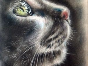 Домашни любимци очите на художник Павел рицар - Справедливи Masters - ръчна изработка, ръчно изработени