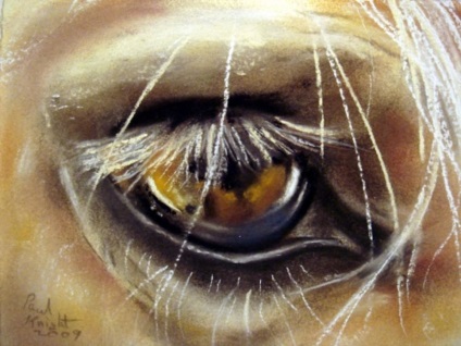 Домашни любимци очите на художник Павел рицар - Справедливи Masters - ръчна изработка, ръчно изработени
