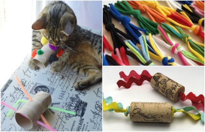 13 Cel mai bun jucărie pentru pisici, care se poate face rapid cu propriile mâini