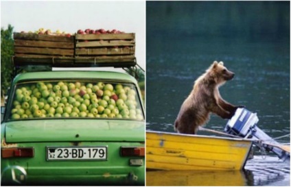 18 Fotografii, dovedind că în Rusia se poate întâmpla ceva