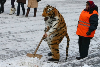 18 Fotografii, dovedind că în Rusia se poate întâmpla ceva