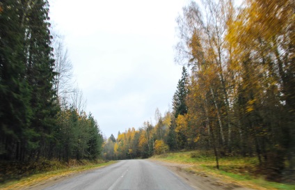 Traseu auto de la Sankt Petersburg la Crimeea