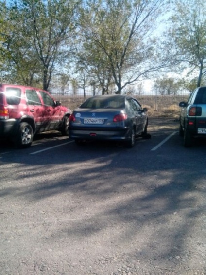 Traseul auto către Charyn Canyon, o relicvă de copaci și arcuri calde, la 300 de km de