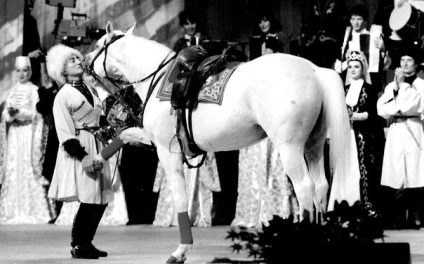Buyan - o legendă a cinematografiei sovietice ... - evenimente și incidente, un cal