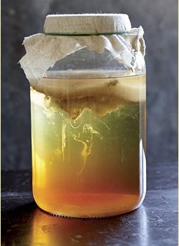 Kombucha (Kombucha ital) Kombucha
