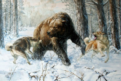 Ce a însemnat Putin spunând că ursul taiga nu va da nimănui