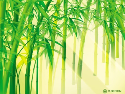 Acasă Bambus